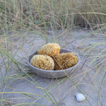 Honeycomb Wool natursvamp fra Middelhavet, Cocoon Company, 13-14 cm