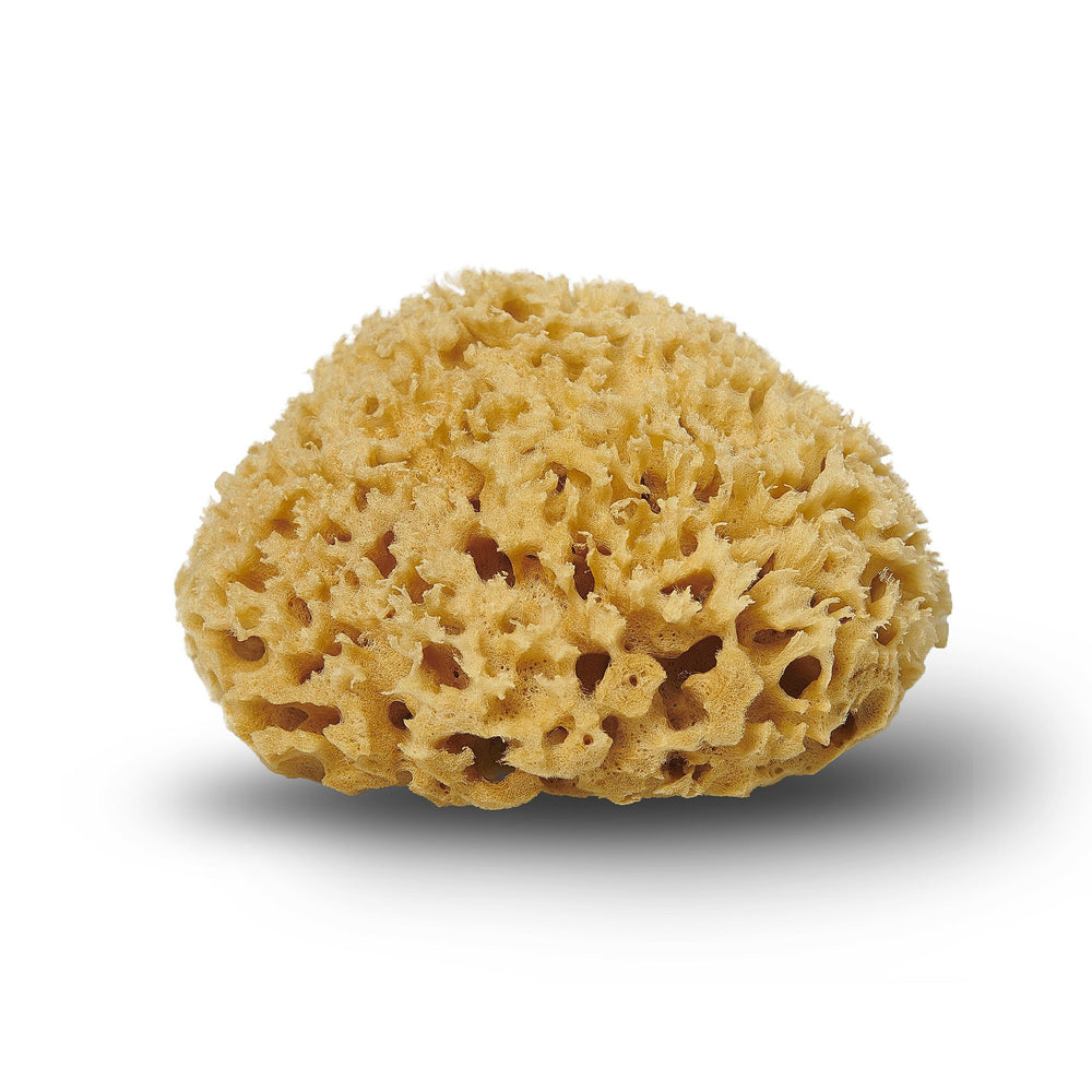 Honeycomb natursvamp fra Middelhavet, Cocoon Company, 10-11 cm