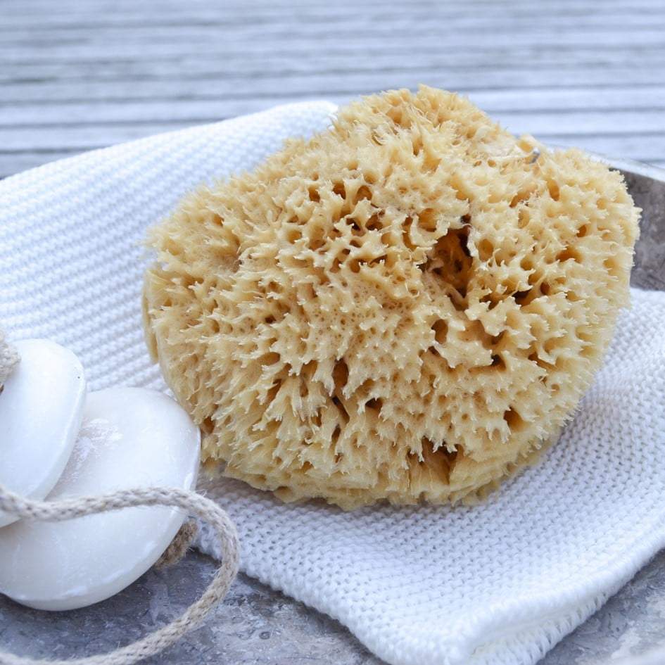 Honeycomb natursvamp fra Middelhavet, Cocoon Company, 10-11 cm