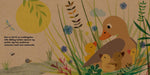 "Lille Ælling" børnebog i serien Vores Natur af Britta Teckentrup fra Mais + Co