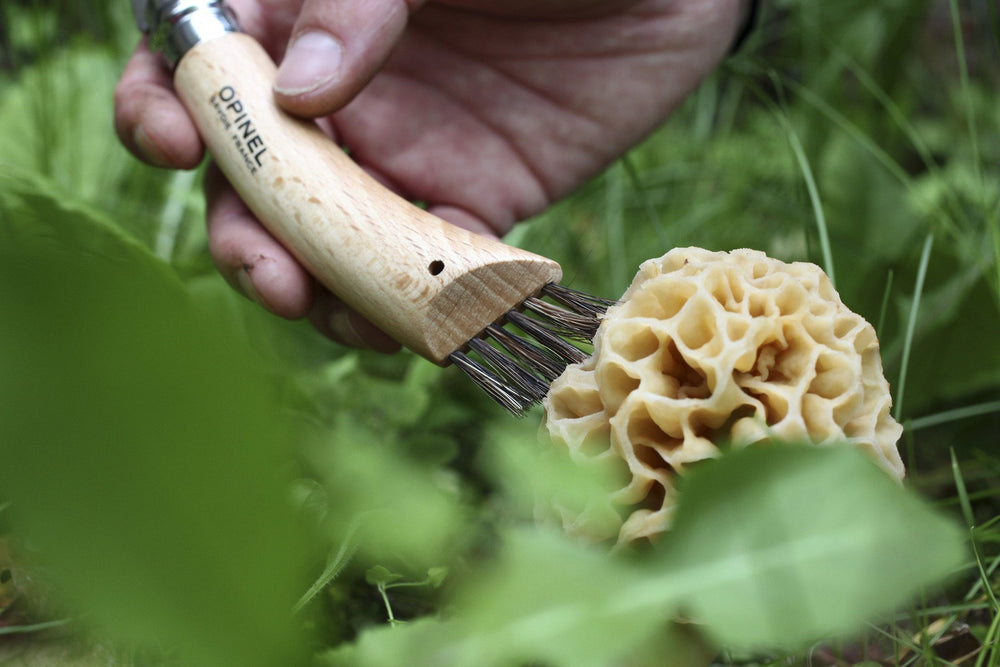 Kniv - Svampekniv i rustfristål og avnbøg med børster af ægte vildsvinehår fra Opinel - Opinel - gågrøn 